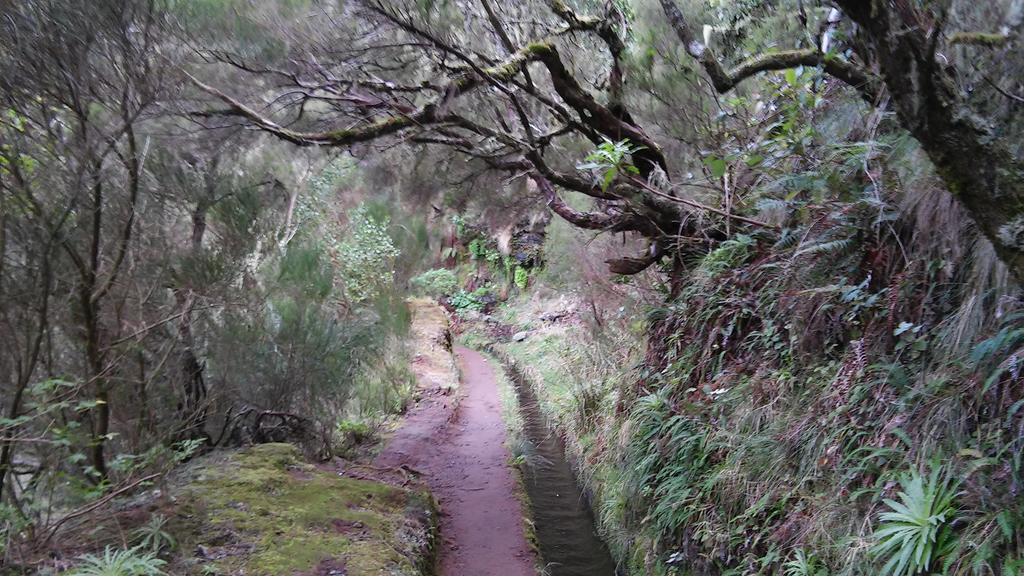 Levada Nova House Casa vacanze Ponta do Sol (Madeira)